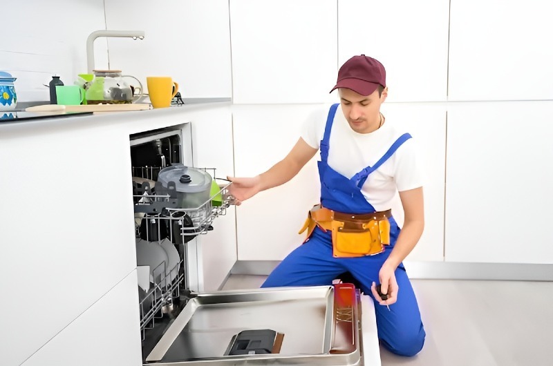 Dishwasher repair in Arcadia